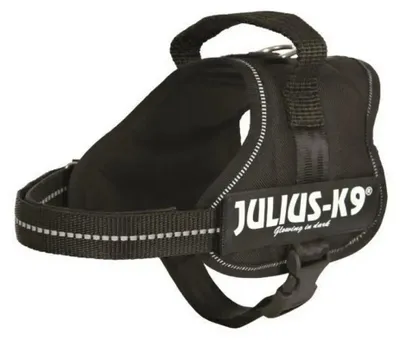 Zdjęcie produktu dla Pasek dla psa Julius K9 Power Czarny S