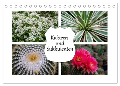 Produktbild von Kakteen und Sukkulenten (Tischkalender 2027 DIN A5 quer), CALVENDO Monatskalender