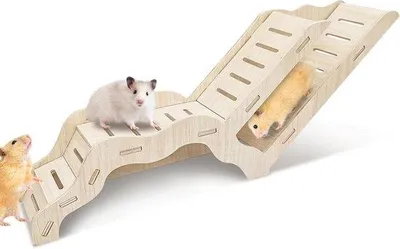 Immagine prodotto di Casetta per piccoli roditori - Casetta in legno con nascondiglio per gerbilli e topi - Dimensioni 42 x 16 cm