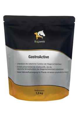 Produktbild von Equanis GastroActive - Ernährungsphysiologische Unterstützung der normalen Magenschleimhaut