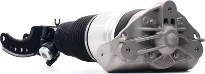 Produktbild von RIDEX 4118A0070 Luftfederbein Stoßdämpfer Vorne Links für VW Touareg (7LA, 7L6, 7L7) für AUDI Q7 (4LB) für PORSCHE Cayenne (9PA)