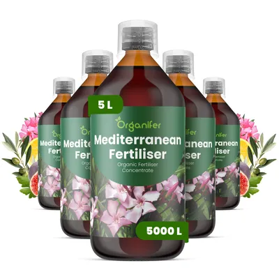 Obrázok produktu pre Tekuté hnojivo pre stredomorské rastliny, 5 x 1 liter – vzorec NPK 3-4-3 – Vhodné pre stredomorské rastliny – Podporuje dlhodobú vitalitu, kvitnutie a tvorbu plodov – Organický produkt