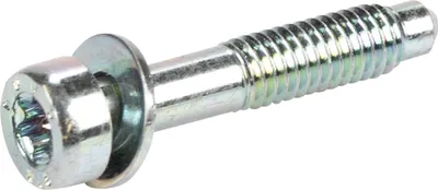 Produktbild von Schraube 55214854