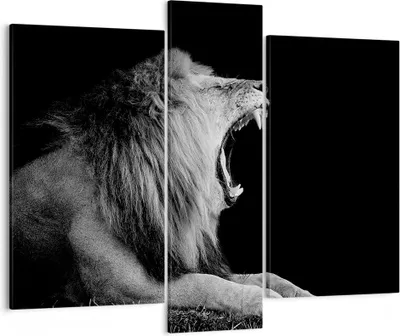 Produktbild von Bild auf Leinwand - Leinwandbild - 3 Teile - Löwe Gähnen Schwarz und Weiß - 95x80cm - Wand Bild - Wanddeko - Wandbilder - Leinwanddruck - Bilder - Wanddekoration - Leinwand bilder - CB95x80-4252