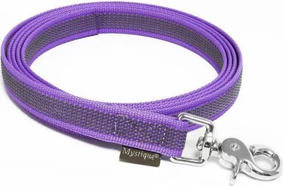 Produktbild von Mystique® Gummierte Leine 20mm ohne Handschlaufe Scherenkarabinerhaken lila 2m