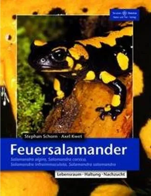 Produktbild von Feuersalamander