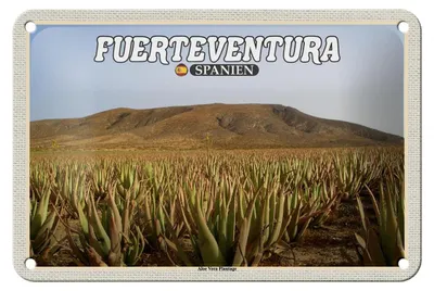 Produktbild von Blechschild Reise 18x12cm Fuerteventura Spanien Aloe Vera Plantage