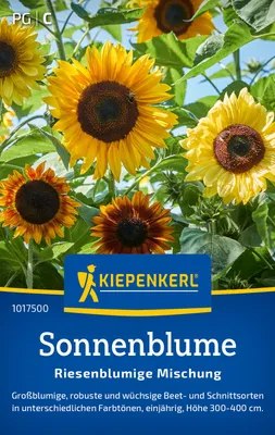 Produktbild von Kiepenkerl Sonnenblumensamen Riesenblumige 30 Pflanzen