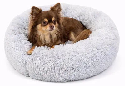 Produktbild von Pebble Donut Hundebett 60 x 60 cm – flauschiges Hundekörbchen mit orthopädischen Memory-Schaum-Flocken, waschbar, abnehmbarer Bezug, Hellgrau (M)