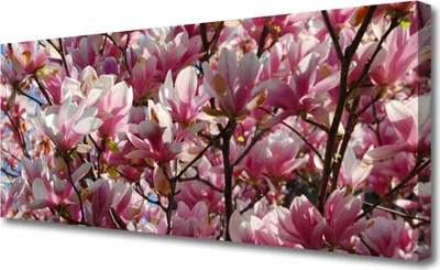 Produktbild von Tulup Leinwand-Bilder 125x50 Wandbild Canvas Kunstdruck Zweige Blumen Pflanzen