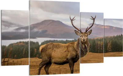 Produktbild von Bild auf Leinwand - Leinwandbild - 4 Teile - Rehe Wiese Berge - 160x90cm - Wand Bild - Wanddeko - Wandbilder - Leinwanddruck - Bilder - Wanddekoration - Leinwand bilder - Wandbild - DL160x90-4231