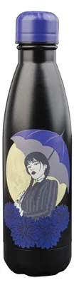 Obrázek produktu pro Středa, nerezová ocelová láhev, objem 500 ml