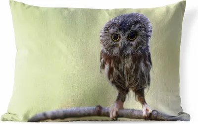 Produktbild von MuchoWow® Outdoor Kissen - Eule - Vogel - Wald - 60x40 cm - Wetterfest - Lounge Kissen - Zierkissen - Kissen für Innenräume