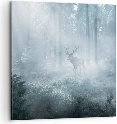 Produktbild von Bild auf Leinwand - Leinwandbild - Einteilig - Hirsch Wald Morgendämmerung - 60x60cm - Wand Bild - Wanddeko - Wandbilder - Leinwanddruck - Bilder - Wanddekoration - Leinwand bilder - AC60x60-4667