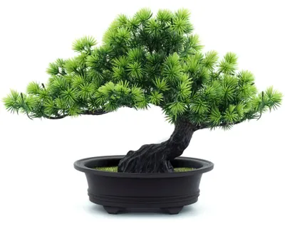 Produktbild von Künstliche Pflanzen, Grünpflanzen, künstlicher Bonsai-Baum, Raumdekoration, für