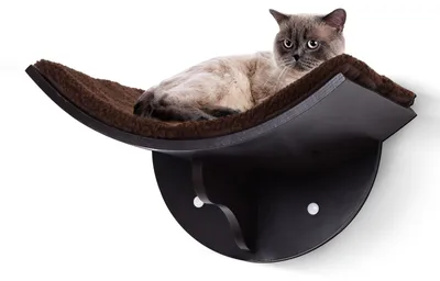 Immagine prodotto di Cuccia a parete per gatti – Scaffale per gatti | Colore: Marrone | Dimensioni: 16,14 x 11,02 x 8,26 cm