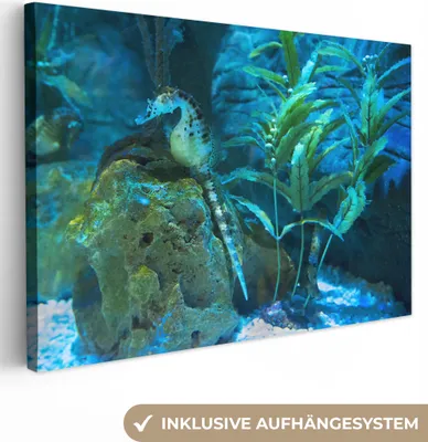 Produktbild von MuchoWow® - Leinwandbilder - Seepferdchen im Meer, Wandbild, Wanddeko Bilder Wohnzimmer, 30x20 cm