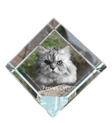 Produktbild von Art-Dog Briefbeschwerer Perserkatze