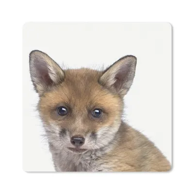 Produktbild von MuchoWow® Mauspad Mousepad Fuchs - Tiere - Jungtier - Jungen - Mädchen - Kind 30x30 cm - Mousepads - Maus Mat - Pad - Mausunterlage - Gaming
