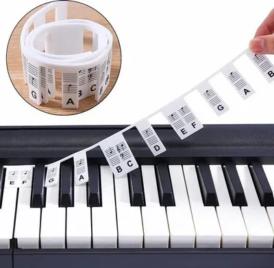 Produktbild von Removbare Keyboardnotenstickers, 61 Tasten, bunt, weiß.