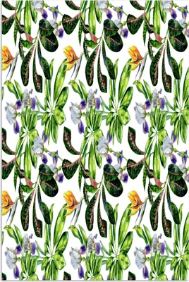 Produktbild von MuchoWow® Poster Paradiesvogelpflanze - Blumen - Muster 80x120 cm - Papierdruck