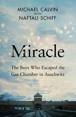 Immagine prodotto di Miracle