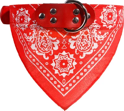 Produktbild von Hundehalsband mit Halstuch Rot M