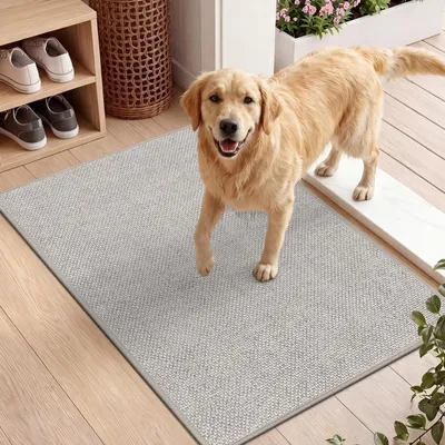 Productafbeelding van Antislip Deurmat voor Binnen en Buiten 43 x 76 cm