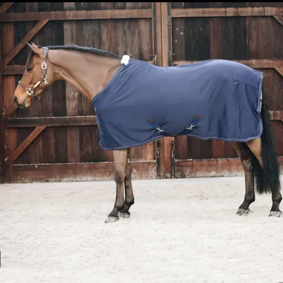 A horse wearing a navy blue blanket stands in front of a wooden barn door.