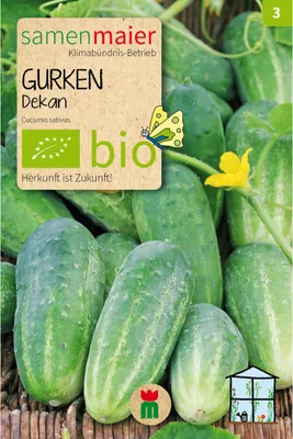 Produktbild von Gurken Dekan - 11 Korn Saatgut