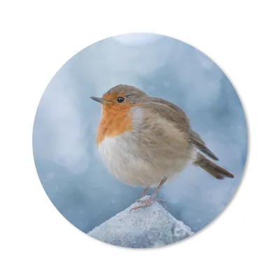 Produktbild von MuchoWow® Mauspad Mousepad Rotkehlchen - Winter - Blau 20x20 cm - Mousepads - Maus Mat - Pad - Mausunterlage - Schreibtischmatte