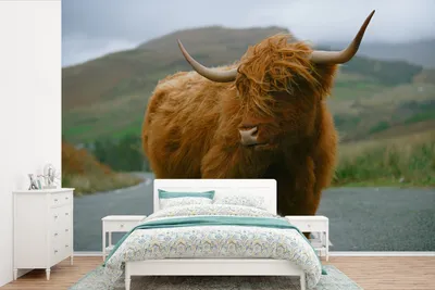 Produktbild von MuchoWow® Fototapete für Wohnzimmer oder Schlafzimmer Wandtapete Vinyl Motivtapete Schottischer Highlander - Berg - Straße - 525x350 cm - Das Hintergrundbild