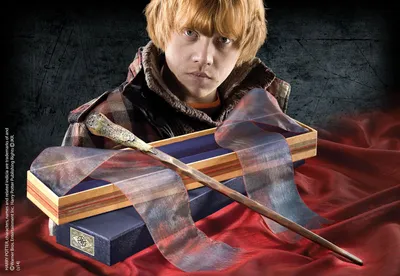 A young man with red hair is shown behind a wooden box containing a wand and a ribbon.