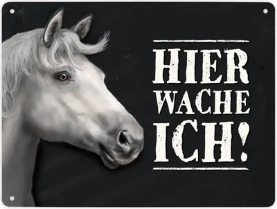 Produktbild von Hier wache ich! Metallschild XL mit Pferd Motiv Schild Blechschild