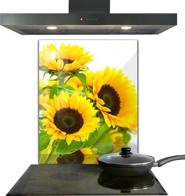 Produktbild von Spritzschutz aus Glas Küchenrückwand - Wandschutz für Herd und Spüle - 60x80 cm - Sommer-Sonnenblumenstrauß