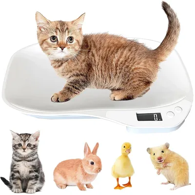 Produktbild von Babywaage Tierwaage Waage Digitalwaage Digital Baby Katzen Haustier bis 15 kg