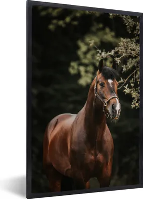 Produktbild von MuchoWow® MuchoWow® Gerahmtes Poster Pferd - Äste - Porträt 60x90 cm - Poster mit zchwarzem Bilderrahmen - Kunst