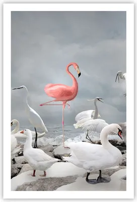 Produktbild von Poster - Poster ohne Rahmen - Flamingo Schwan Fantasie - 61x91,5 cm - Wand Bild - Wanddeko - Wandbilder - Kunstposter - Wandposter - Bilder - Kunstdruck - Wanddekoration - Wandbild - P2XPA61x91-4929