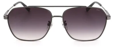 Produktbild von Fila Sonnenbrille SFI216 0568 57 14 140