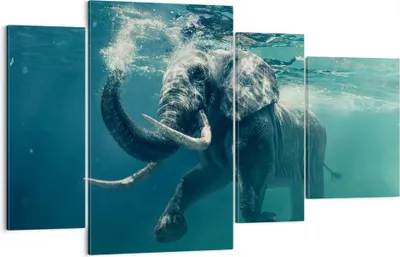 Produktbild von Bild auf Leinwand - Leinwandbild - Elefant Tier Wasser - 120x70cm - Wand Bild - Wanddeko - Leinwanddruck - Bilder - Kunstdruck - Wanddekoration - Leinwand bilder - Wandkunst - DL120x70-3944