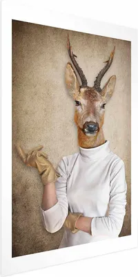 Produktbild von Posterpapier Poster - Lady of the House 29.7x42 cm Tiere g-B-0126-ao-a