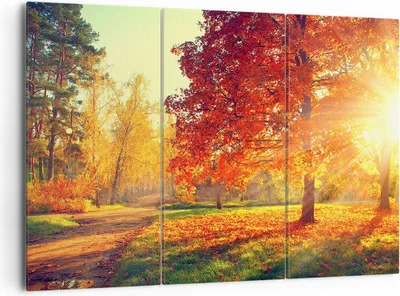 Produktbild von Bild auf Leinwand - Leinwandbild - Park Herbst Baum - 165x110cm - Wand Bild - Wanddeko - Leinwanddruck - Bilder - Kunstdruck - Wanddekoration - Leinwand bilder - Wandkunst - CE165x110-3654