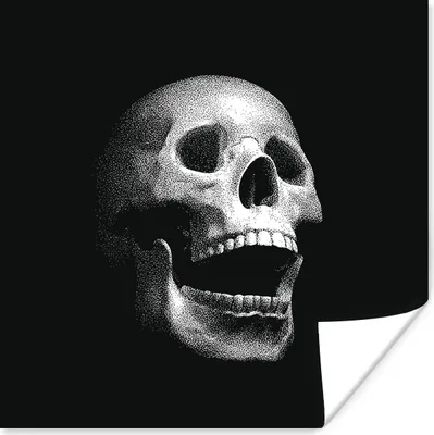 Produktbild von MuchoWow® Poster Eine schwarz-weiße Illustration eines natürlichen Schädels 100x100 cm - Babyzimmer