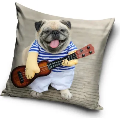 Imagen del producto de Funda de cojín para perro, 40x40 cm