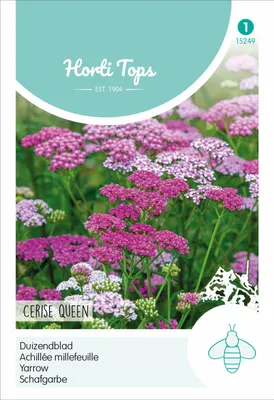 Artikelbild 2 von 'Schafgarbe Cerise Queen' aus der Kategorie Blumensamen