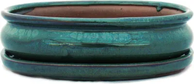 Image de bol bonsaï avec soucoupe taille 3 - vert - ovale - modèle o47 - l 19cm - b 13,5cm - h 5cm