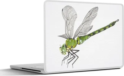 Produktbild von MuchoWow® Laptop Aufkleber Sticker Cover Eine Illustration einer grünen Libelle auf einem weißen Hintergrund 36.5x27.5 cm - Laptop-Sticker