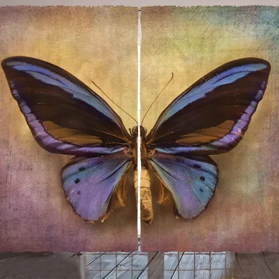 Image de Rideau papillon ARANDE, imprimé vintage britannique grunge victorien sur le thème de la photographie artistique, 280 x 245 cm, multicolore