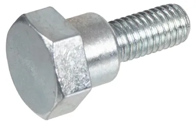 Zdjęcie produktu dla Śruba Cedrus kaseta CEDRSM01 CEDRSM03 CEDRSM05 780822