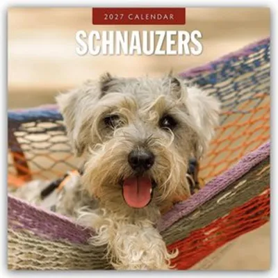Immagine prodotto di Calendario Schnauzer 2027 - Calendario da 16 mesi